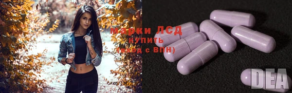 apvp Алексин