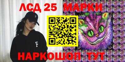 крисы Кулебаки