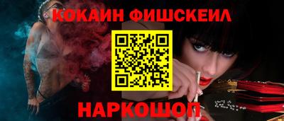 крисы Кулебаки
