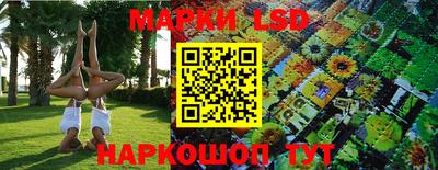 крисы Кулебаки