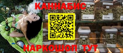 крисы Кулебаки