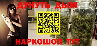 крисы Кулебаки