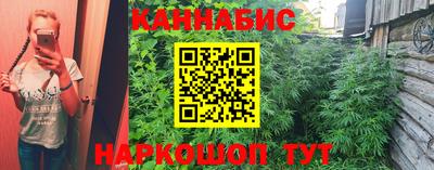 крисы Кулебаки