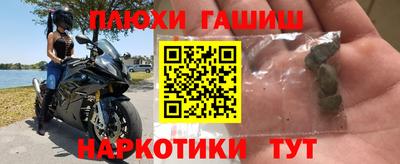 крисы Кулебаки