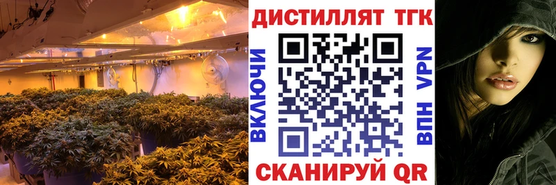 цены наркотик  Камышин  ТГК вейп с тгк 