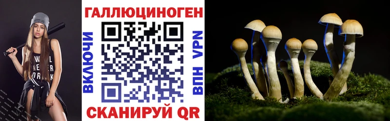 Псилоцибиновые грибы Cubensis  Камышин 