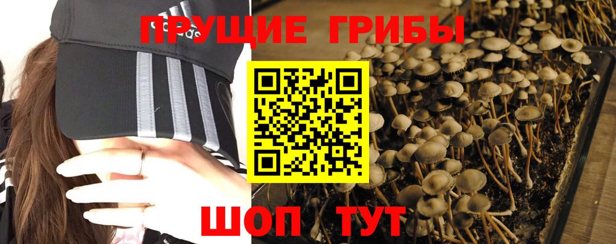 Галлюциногенные грибы прущие грибы Камышин